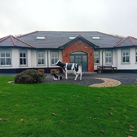 Creeghduff Lodge Downpatrick Εξωτερικό φωτογραφία