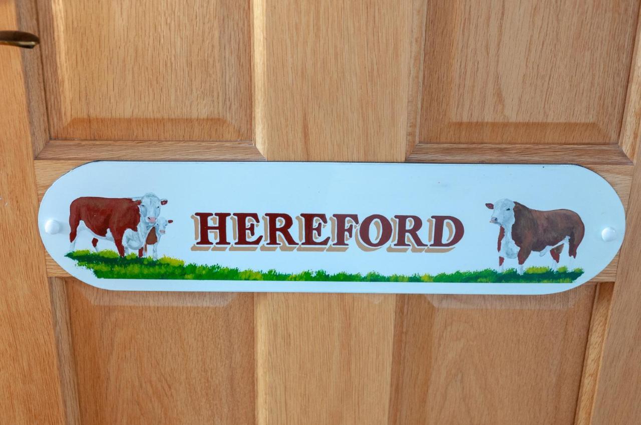 Creeghduff Lodge Downpatrick Εξωτερικό φωτογραφία