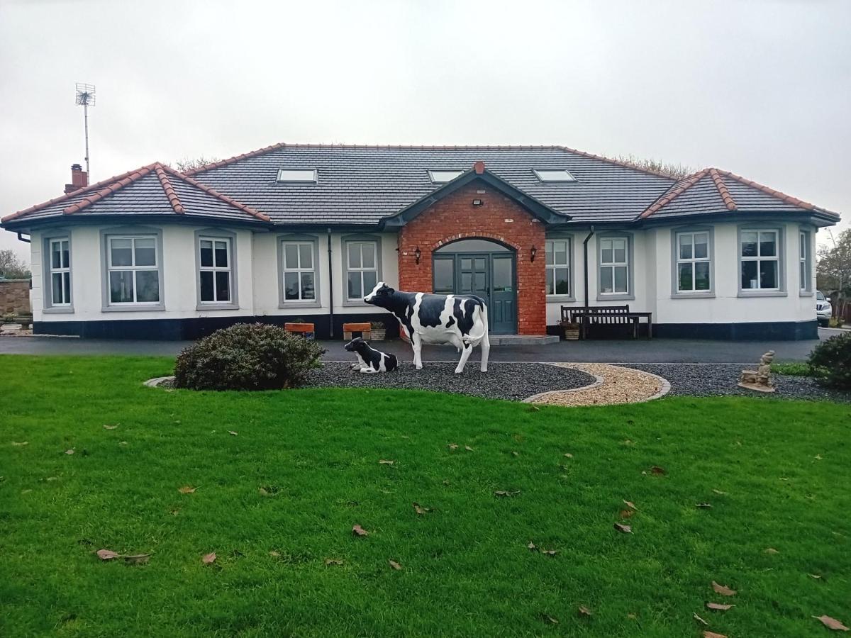 Creeghduff Lodge Downpatrick Εξωτερικό φωτογραφία