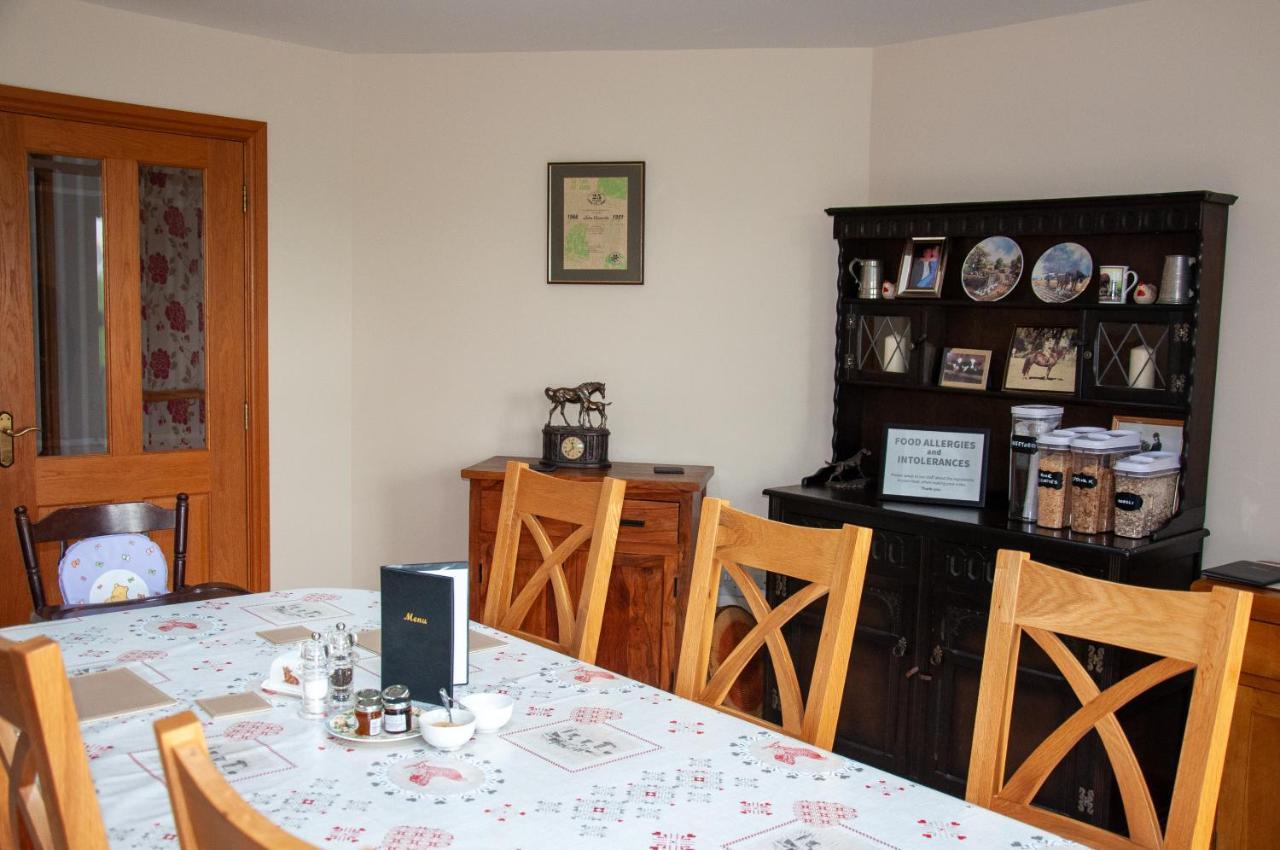 Creeghduff Lodge Downpatrick Εξωτερικό φωτογραφία