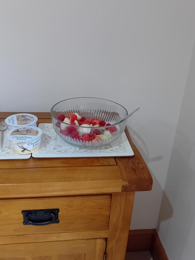 Creeghduff Lodge Downpatrick Εξωτερικό φωτογραφία